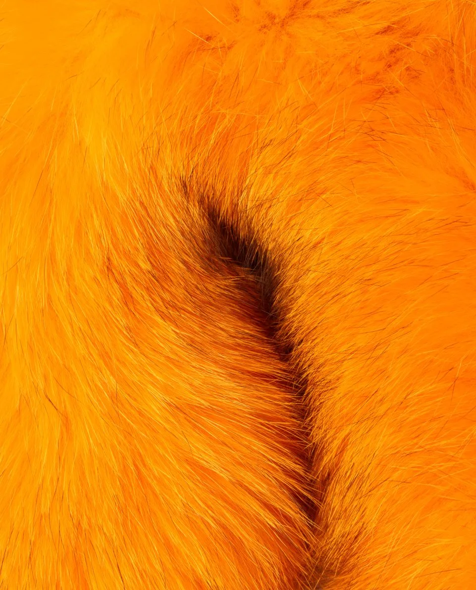 Cuello redondo de pelo de zorro en color naranja - Imagen 2
